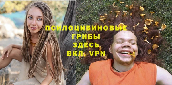 гашик Горно-Алтайск